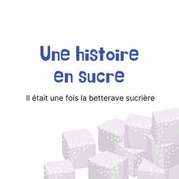 Une histoire en sucre – il était une fois la betterave sucrière…